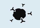 orthopaedic-oncology-icon